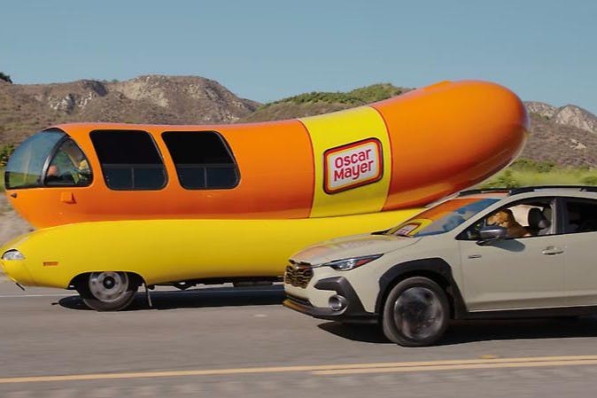 Dog tested. Dog Approved Ads (4)