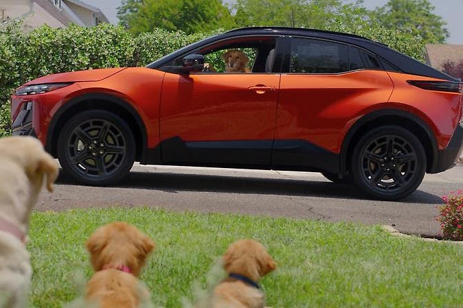 Dog tested. Dog Approved Ads (5)