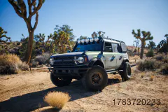 LY3_5817