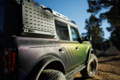 LY3_6352